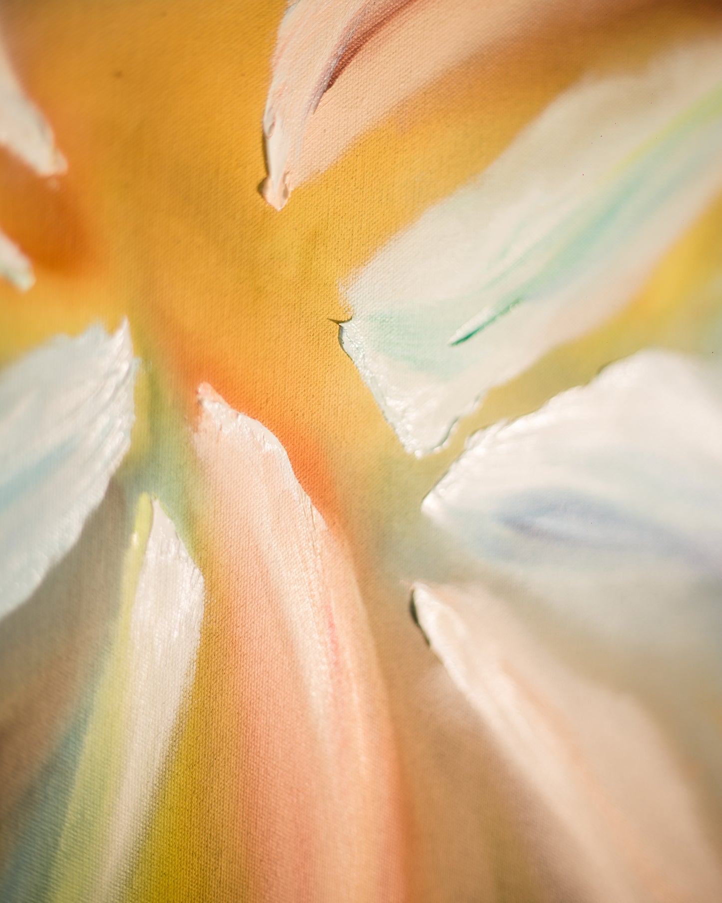 Bloom