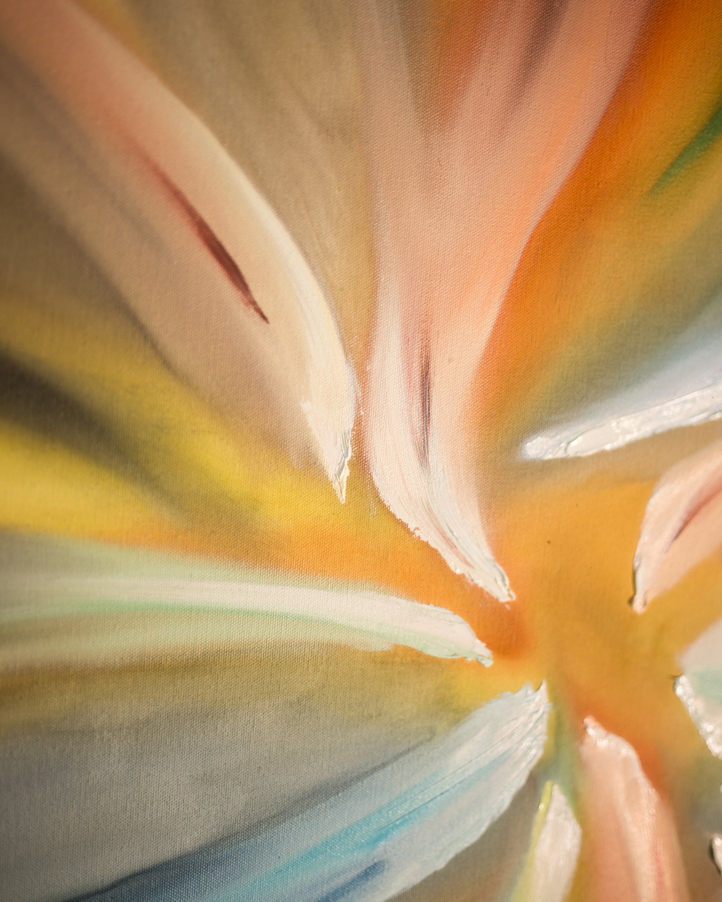Bloom