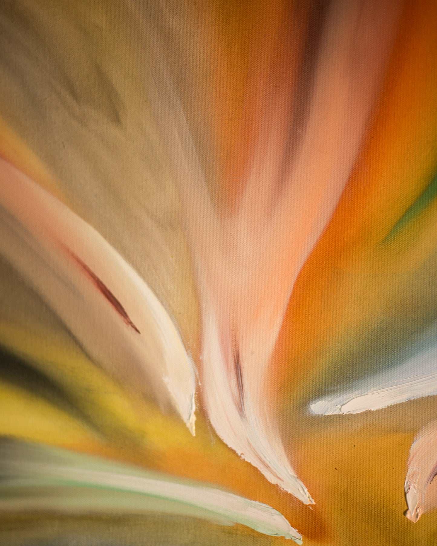 Bloom