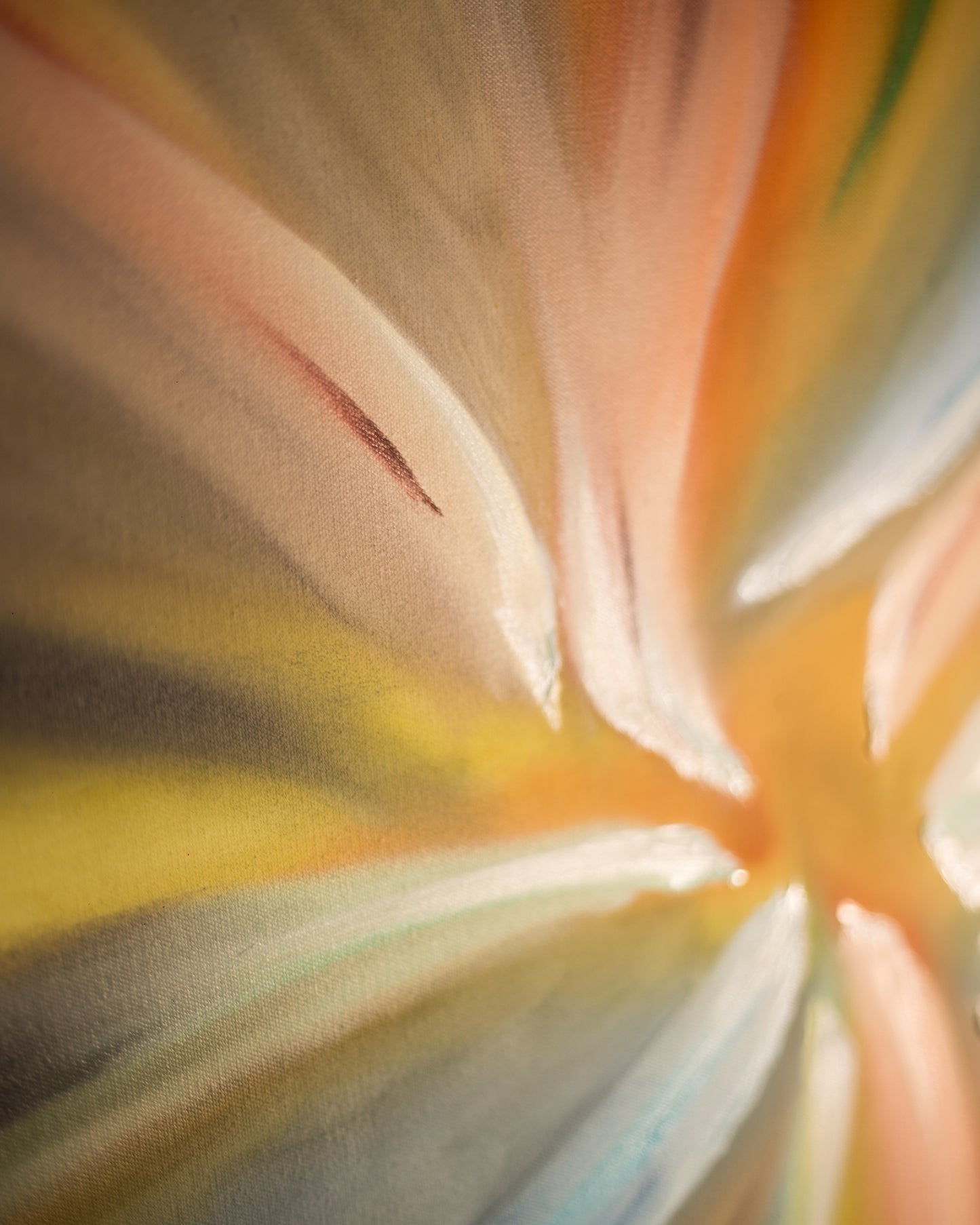 Bloom